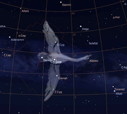 constelacion del cisna